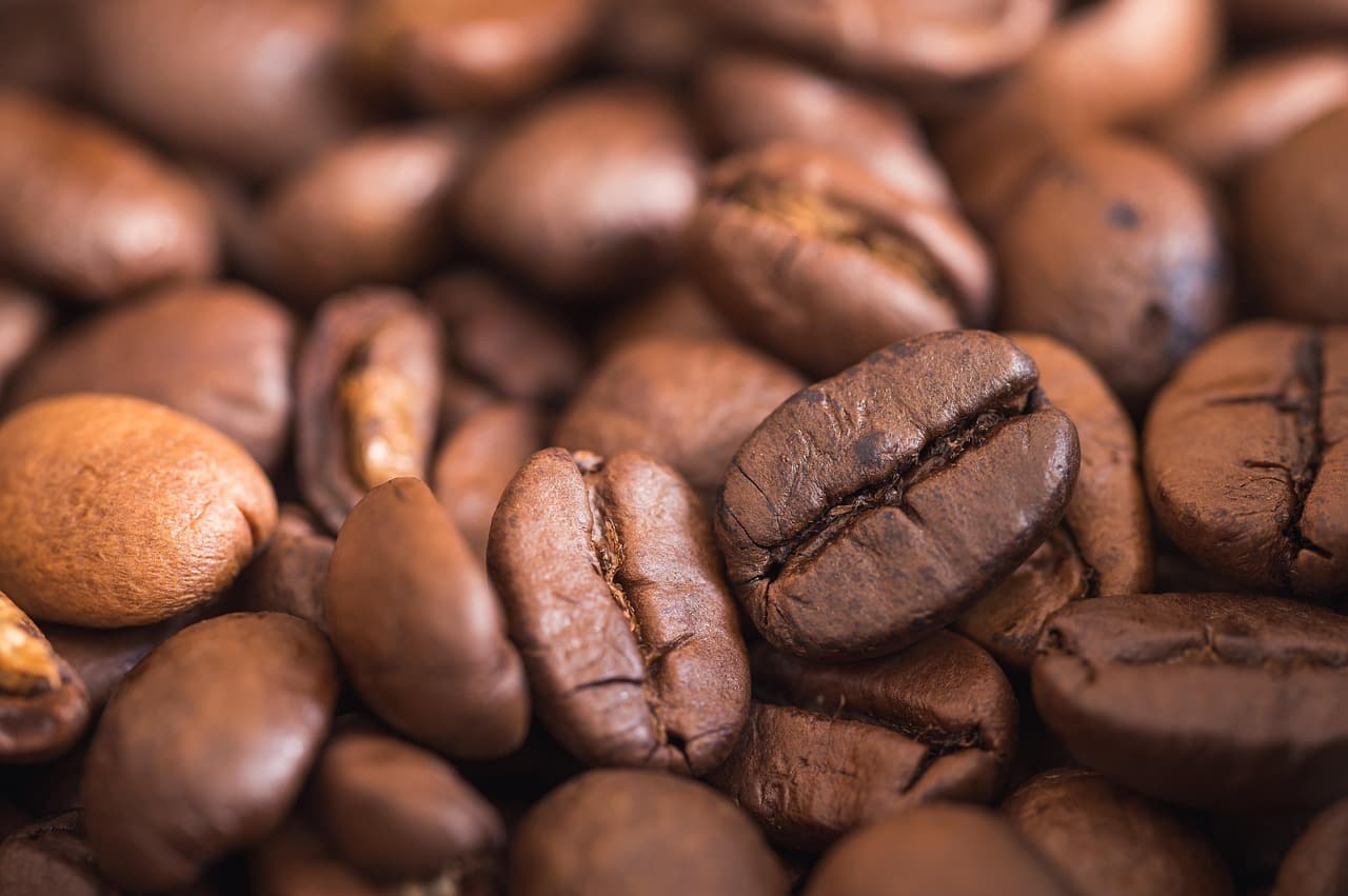Coffee Grinders in 2026: Why the Grinder Beats the Coffee Maker
