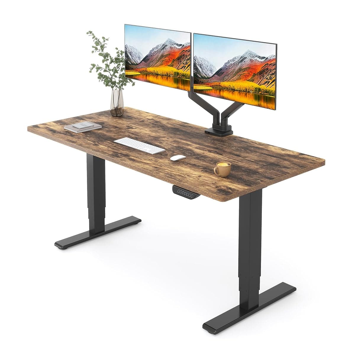 FlexiSpot vs FEZIBO: What the Cheaper Standing Desk Skips
