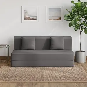 Wakefit Sofa Cum Bed | product photo
